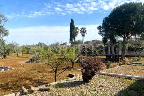 Villa i Gallipoli, Lecce, Gallipoli - € 350 000 | Ref: 350rustico - foto 19