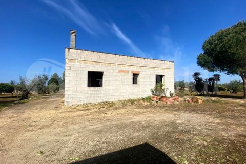Villa i Gallipoli, Lecce, Gallipoli - € 350 000 | Ref: 350rustico - foto 21