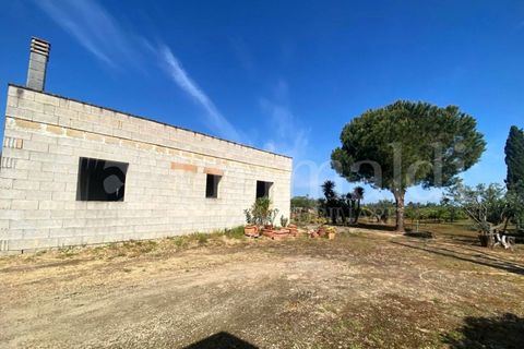 Villa i Gallipoli, Lecce, Gallipoli - € 350 000 | Ref: 350rustico - foto 22