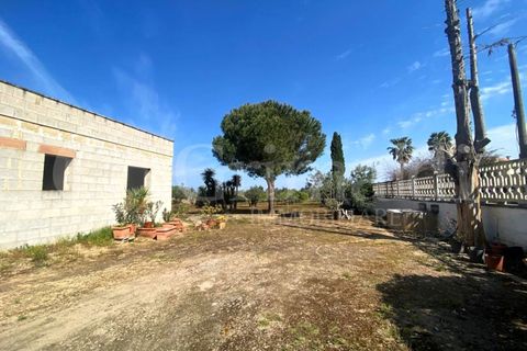 Villa i Gallipoli, Lecce, Gallipoli - € 350 000 | Ref: 350rustico - foto 23
