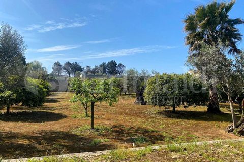 Villa i Gallipoli, Lecce, Gallipoli - € 350 000 | Ref: 350rustico - foto 24