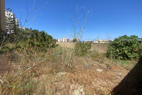 Terra a Gallipoli, Lecce, Gallipoli - € 27.000 | Ref: 30trenterreno - foto 4