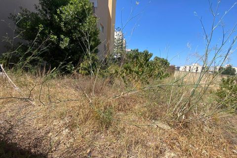 Terra a Gallipoli, Lecce, Gallipoli - € 27.000 | Ref: 30trenterreno - foto 5