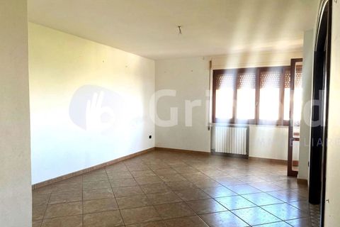 Lejlighed i Gallipoli, Lecce, Gallipoli - € 175.000 | Ref: 175europa - foto 16