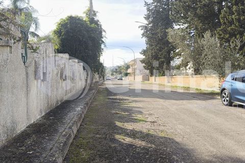 Helårsgrund i Collepasso, Lecce, Collepasso - € 40.000 | Ref: Cod.rif3276011 - foto 2