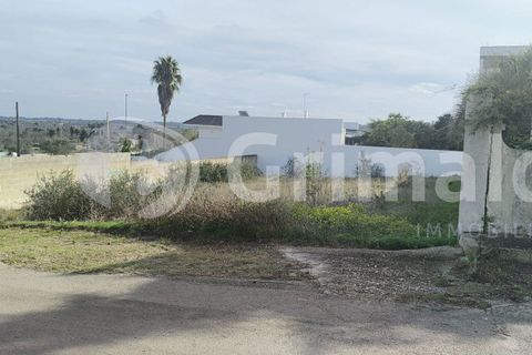 Helårsgrund i Collepasso, Lecce, Collepasso - € 40.000 | Ref: Cod.rif3276011 - foto 4