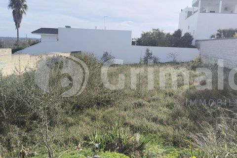 Helårsgrund i Collepasso, Lecce, Collepasso - € 40.000 | Ref: Cod.rif3276011 - foto 5
