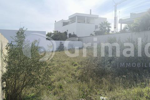 Helårsgrund i Collepasso, Lecce, Collepasso - € 40.000 | Ref: Cod.rif3276011 - foto 6