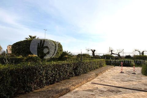 Lejlighed i Gallipoli, Lecce, Gallipoli - € 275.000 | Ref: 310ariosto - foto 41