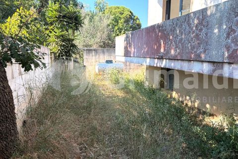 Villa i Alezio, Lecce, Alezio - € 225 000 | Ref: 225pinto - foto 24