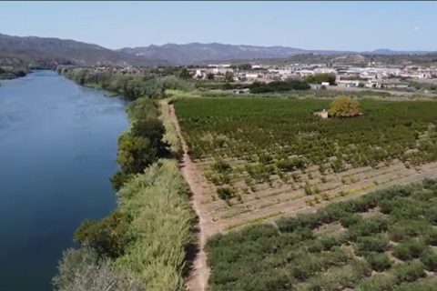 Landejendom i Mora La Nova, Tarragona, Mora La Nova - € 89.000 | Ref: L910M Riordan  - foto 9