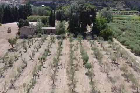Landejendom i Mora La Nova, Tarragona, Mora La Nova - € 89.000 | Ref: L910M Riordan  - foto 21