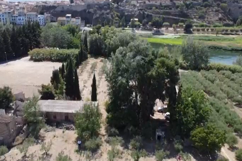 Landejendom i Mora La Nova, Tarragona, Mora La Nova - € 89.000 | Ref: L910M Riordan  - foto 15