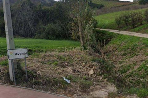 Helårsgrund i Cadaval, Lisbon, Cadaval - € 40.000 | Ref: C0506-00728 - foto 4