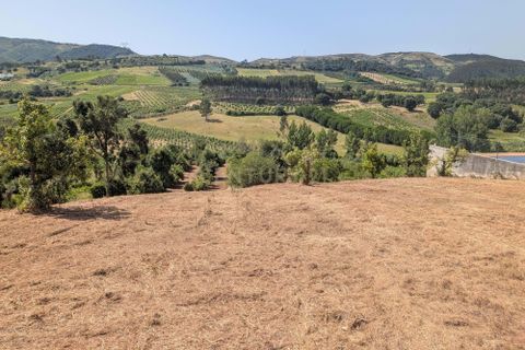 Grond in Cadaval, Lisbon, Cadaval - € 40.000 | Ref: C0506-00728 - foto 3