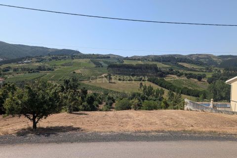 Grond in Cadaval, Lisbon, Cadaval - € 40.000 | Ref: C0506-00728 - foto 4