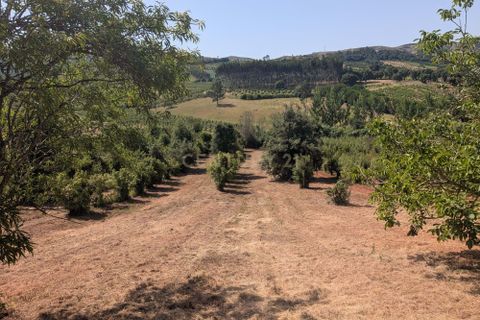 Grond in Cadaval, Lisbon, Cadaval - € 40.000 | Ref: C0506-00728 - foto 7