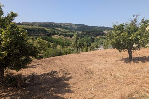 Grond in Cadaval, Lisbon, Cadaval - € 40.000 | Ref: C0506-00728 - foto 8