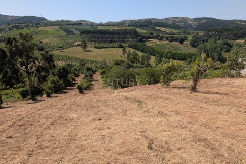 Grond in Cadaval, Lisbon, Cadaval - € 40.000 | Ref: C0506-00728 - foto 9