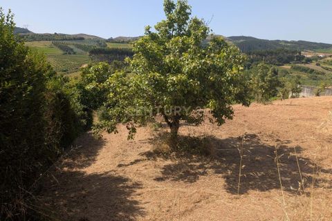 Grond in Cadaval, Lisbon, Cadaval - € 40.000 | Ref: C0506-00728 - foto 10