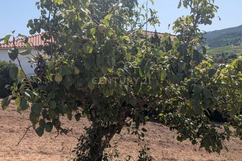 Grond in Cadaval, Lisbon, Cadaval - € 40.000 | Ref: C0506-00728 - foto 11