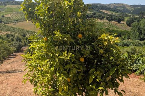 Grond in Cadaval, Lisbon, Cadaval - € 40.000 | Ref: C0506-00728 - foto 12