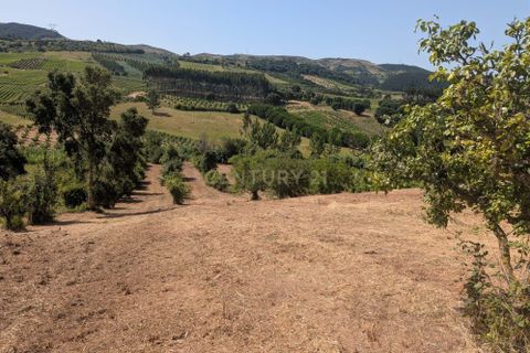 Grond in Cadaval, Lisbon, Cadaval - € 40.000 | Ref: C0506-00728 - foto 13