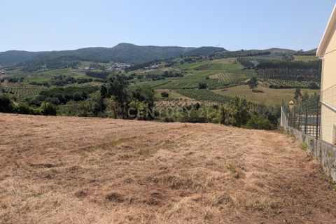 Grond in Cadaval, Lisbon, Cadaval - € 40.000 | Ref: C0506-00728 - foto 15