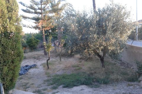 Finca i Orihuela, Alicante, Orihuela - € 295.000 | Ref: 40441 - foto 3