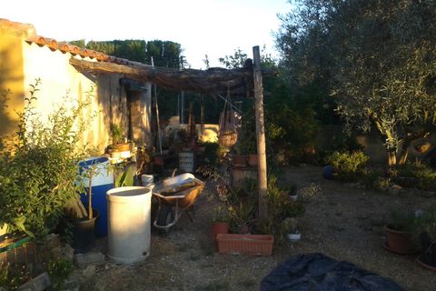 Finca i Orihuela, Alicante, Orihuela - € 295.000 | Ref: 40441 - foto 5
