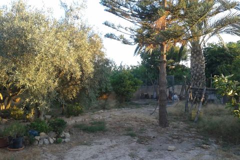 Finca i Orihuela, Alicante, Orihuela - € 295.000 | Ref: 40441 - foto 7
