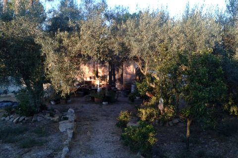 Finca i Orihuela, Alicante, Orihuela - € 295.000 | Ref: 40441 - foto 10