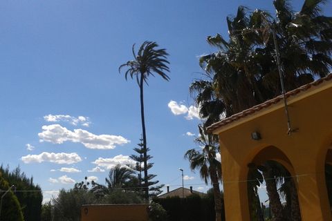 Finca i Orihuela, Alicante, Orihuela - € 295.000 | Ref: 40441 - foto 12