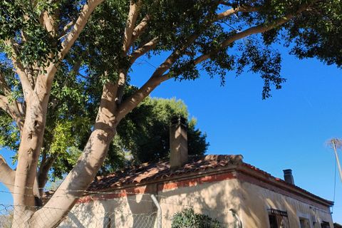 Finca i Orihuela, Alicante, Orihuela - € 295.000 | Ref: 40441 - foto 16