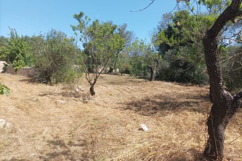 Helårsgrund i Ostuni, Brindisi, Ostuni - € 95.000 | Ref: 379 - foto 9