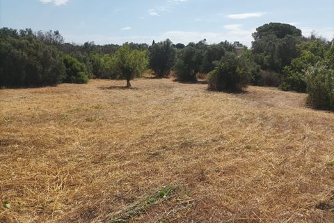 Helårsgrund i Ostuni, Brindisi, Ostuni - € 95.000 | Ref: 379 - foto 11