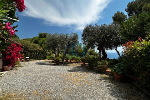 Villa en Imperia, Imperia, Imperia - € 800.000 | Ref: 16853341 - photo 2