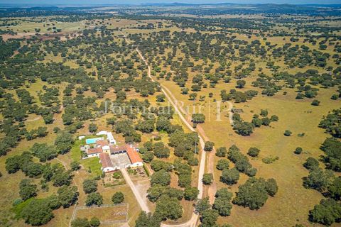 Farm i Monforte, Portalegre, Monforte - € 3.200.000 | Ref: FG1140 - foto 3
