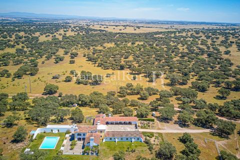 Farm i Monforte, Portalegre, Monforte - € 3.200.000 | Ref: FG1140 - foto 4