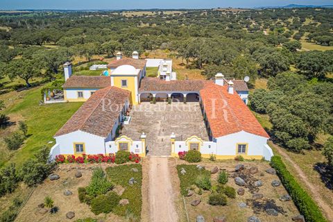 Farm i Monforte, Portalegre, Monforte - € 3.200.000 | Ref: FG1140 - foto 7
