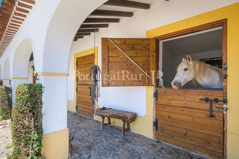 Farm i Monforte, Portalegre, Monforte - € 3.200.000 | Ref: FG1140 - foto 8