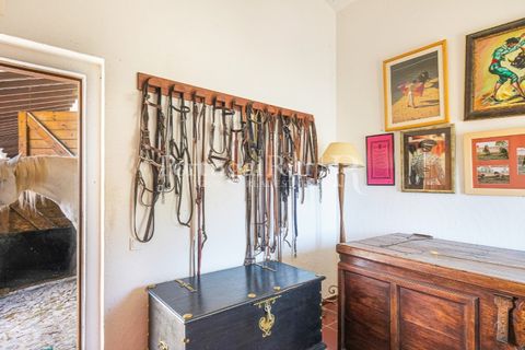 Farm i Monforte, Portalegre, Monforte - € 3.200.000 | Ref: FG1140 - foto 10