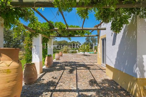 Farm i Monforte, Portalegre, Monforte - € 3.200.000 | Ref: FG1140 - foto 18