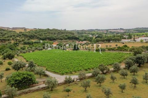Gård i Borba, Evora, Borba - € 498 000 | Ref: ML459 - foto 2