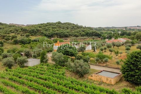Gård i Borba, Evora, Borba - € 498 000 | Ref: ML459 - foto 4