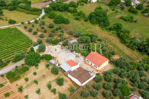 Gård i Borba, Evora, Borba - € 498 000 | Ref: ML459 - foto 5