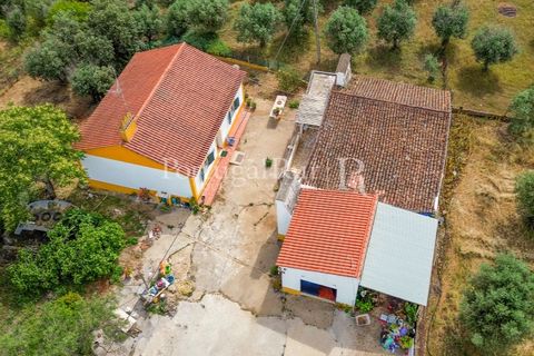 Gård i Borba, Evora, Borba - € 498 000 | Ref: ML459 - foto 6
