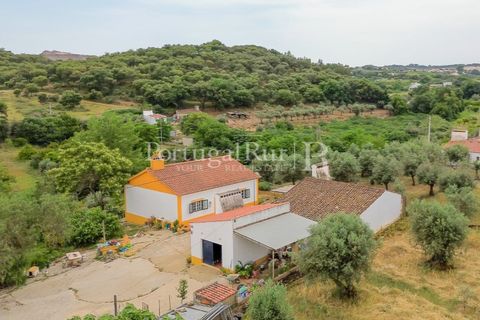 Gård i Borba, Evora, Borba - € 498 000 | Ref: ML459 - foto 8