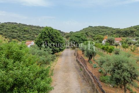 Gård i Borba, Evora, Borba - € 498 000 | Ref: ML459 - foto 9