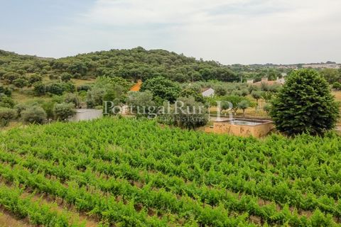 Gård i Borba, Evora, Borba - € 498 000 | Ref: ML459 - foto 10